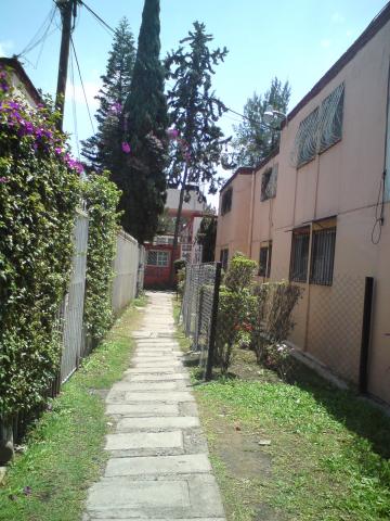 DSC02257.JPG